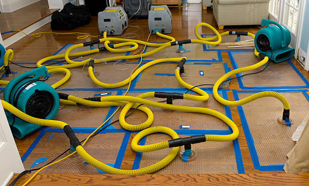 Professional Structural Drying And Dehumidification technician working in Hunter, ND